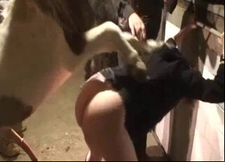 Animal Porn