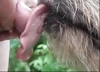 Slow-mo bestial deep throat pleasure