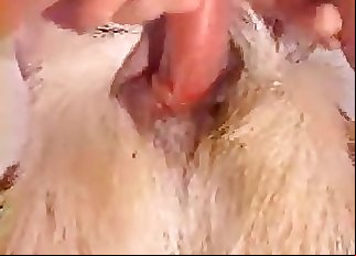 Intense bestiality action is going on and we enjoy it