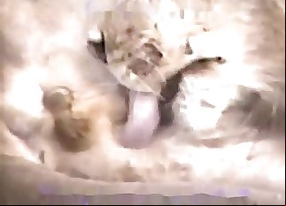 Incredible bestiality action for filthy zoophiles