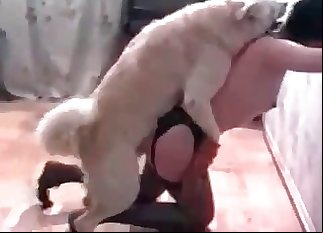 Amazing bestiality with a brunette