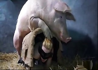 Twisted pig fucking a masked first-timer