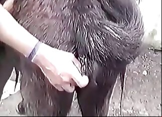 Amazing black pony in amazing amateur bestiality XXX