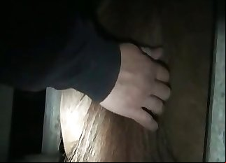 Stallion and a hot chick are enjoying bestiality XXX